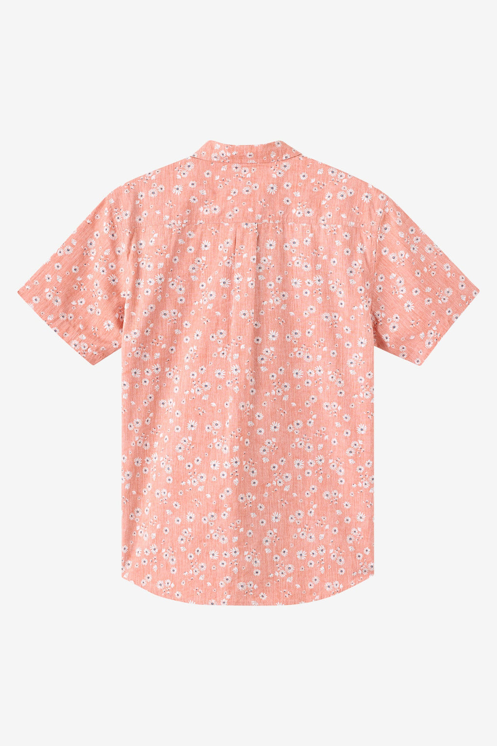 Terrace Standard Fit Shirt