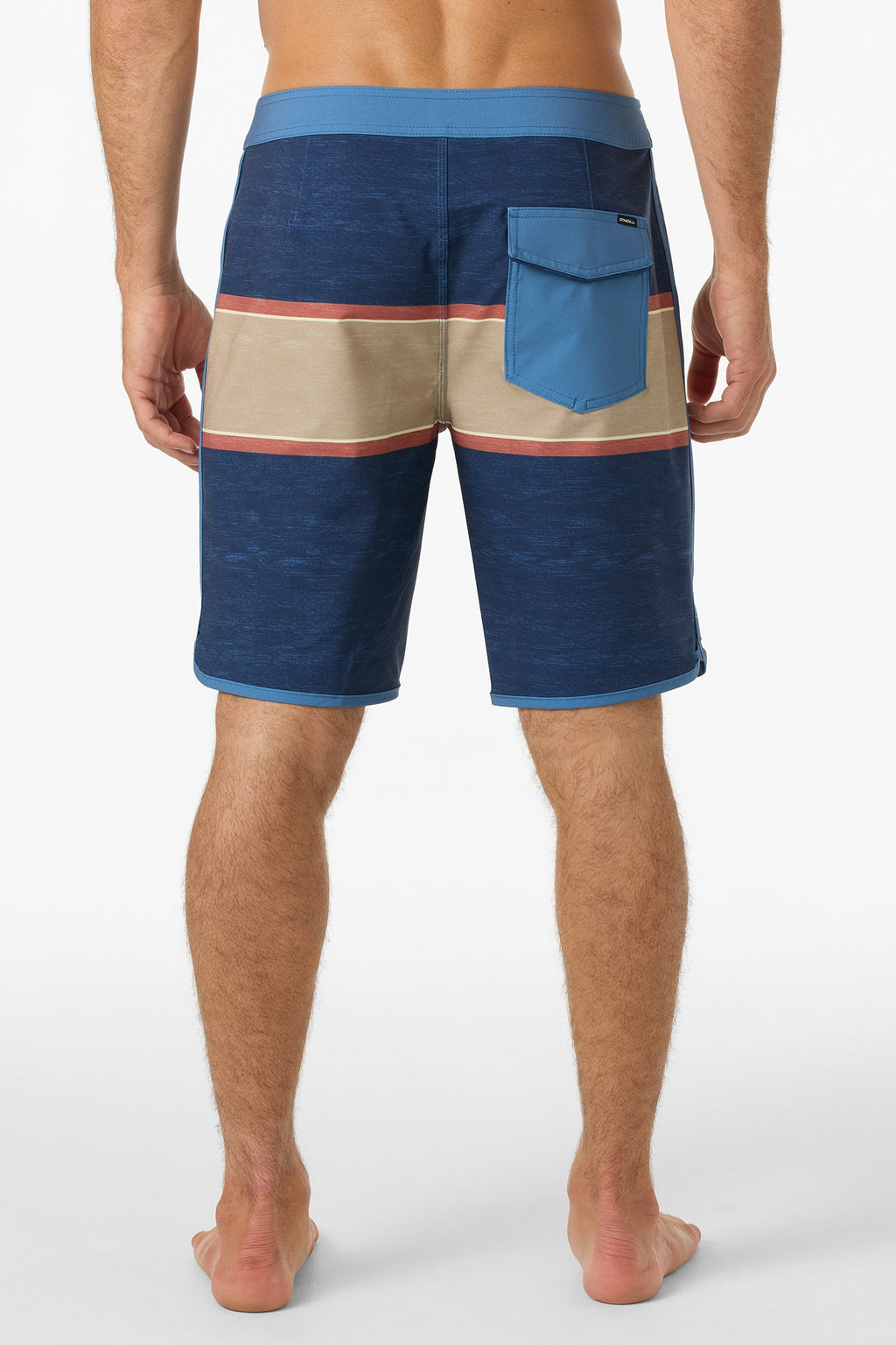 Lennox Scallop 19" Boardshorts